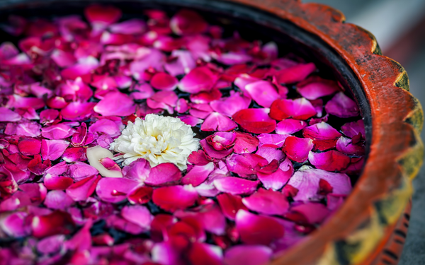 ayurveda and your period